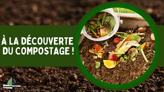 À la découverte du compostage ! Activité pour enfants - En présentiel ou en ligne