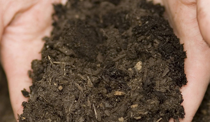 Chargez l'image dans la visionneuse de la galerie, Collecte de matière compostable sur mesure – Événements et organisations à Québec
