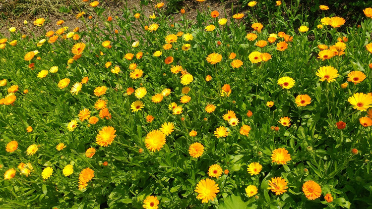 Participer autrement à notre mission