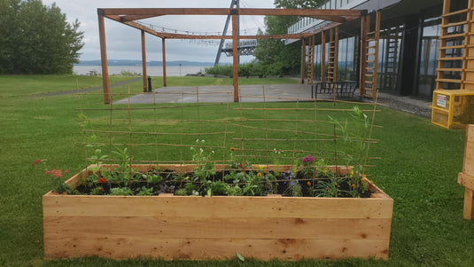 Le jardin écologique du Port de Québec