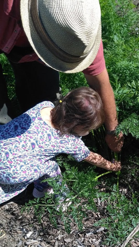 Jardinage, semences et pousses
