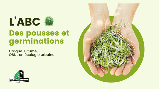 ABC des pousses et germinations - En présentiel