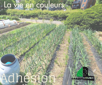 Frais d'adhésion : La vie en couleurs