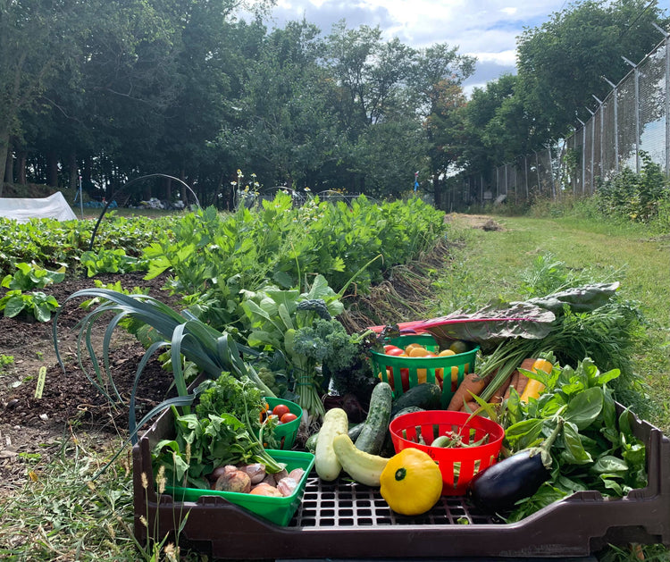sur le jardinage collectif