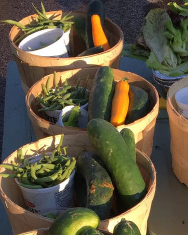 Jardin collectif les Ateliers à la Terre