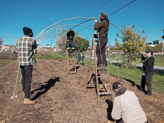 Accompagnement horticole à Québec – Démarrage, entretien et fermeture de jardin