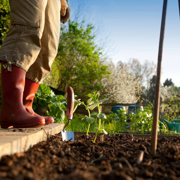 Le collectif au jardin comme proposition durable : notre expérience