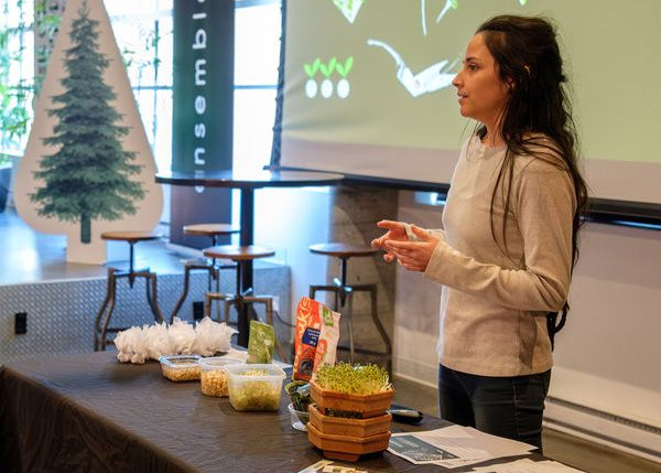 Faire pousser ses pousses et germinations à la maison