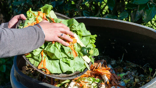 Le compostage, plus important que jamais !