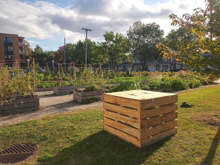 Des moyens simples pour promouvoir la biodiversité urbaine