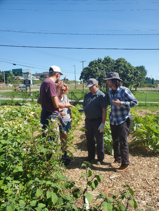 Le collectif au jardin comme proposition durable : notre expérience