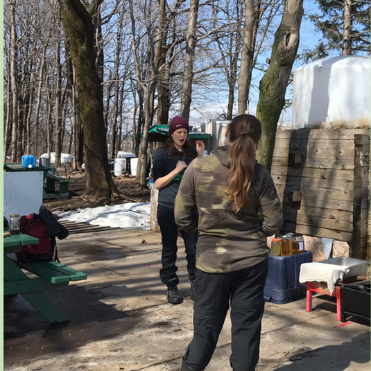 Accompagnement pour le démarrage et l'entretien d'un compost