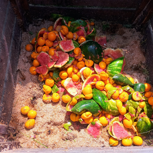 Collecte de matière compostable sur mesure – Événements et organisations à Québec