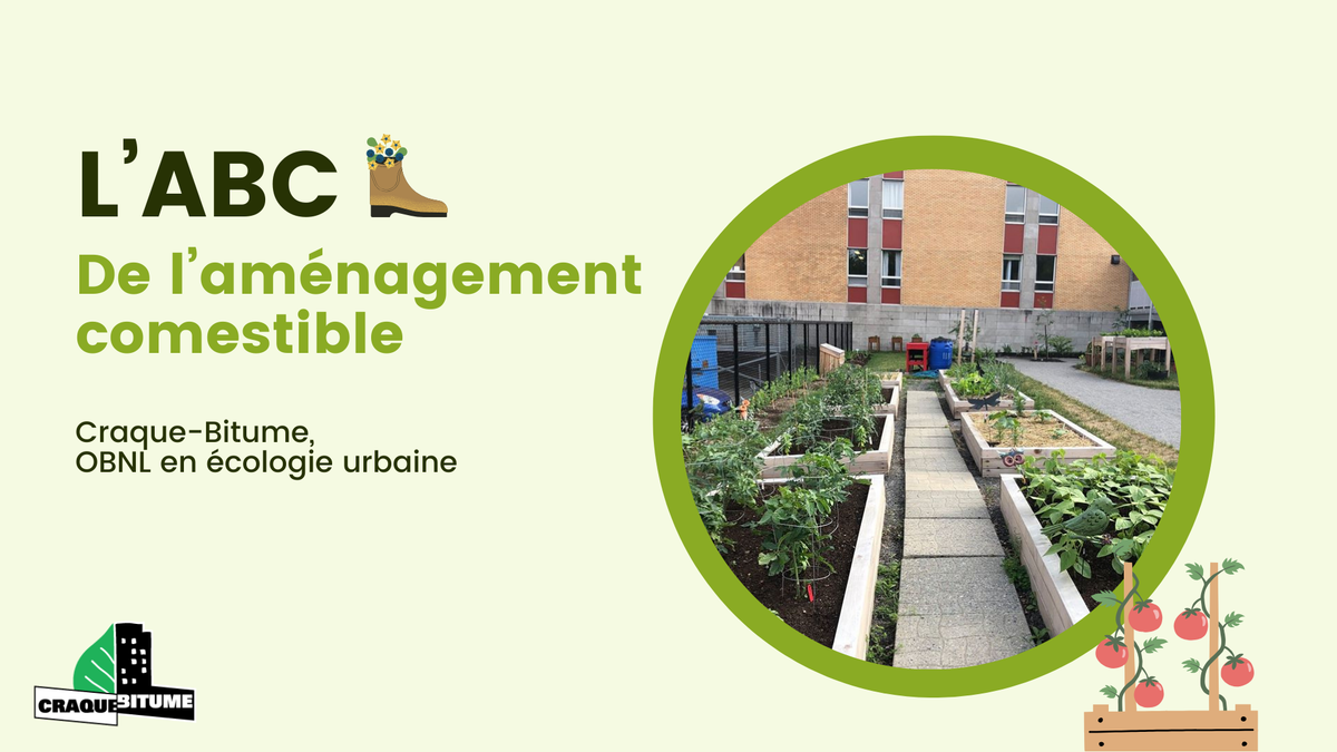 ABC de l'aménagement comestible - En présentiel ou en ligne