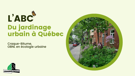 ABC du jardinage urbain à Québec - En présentiel ou en ligne