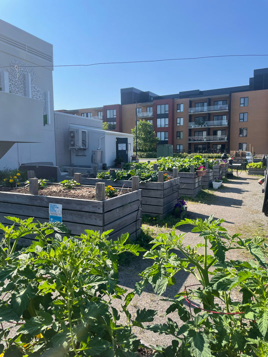 Bacs du jardin