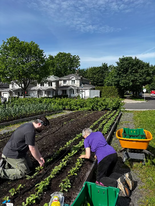 Membre du jardin