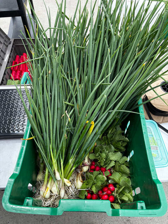 Nourrir la communauté de Sainte-Foy-Sillery-Cap-Rouge
