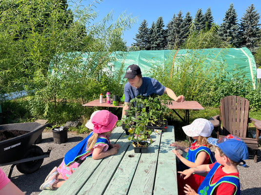 Formations en jardinage urbain, semences et pousses