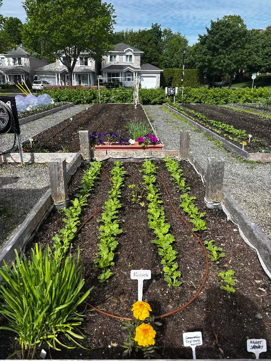 Parcelle du jardin