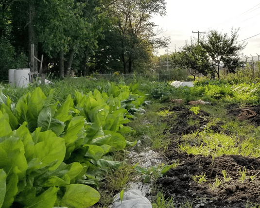 Parcelle des Ateliers à la Terre