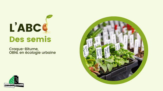 ABC des semis - En présentiel ou en ligne