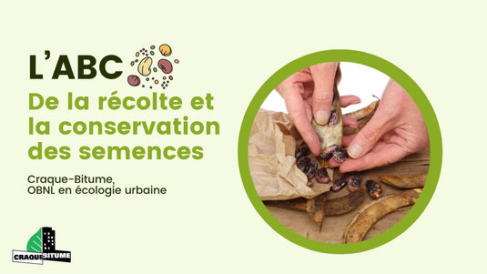ABC de la récolte et la conservation des semences - En présentiel ou en ligne
