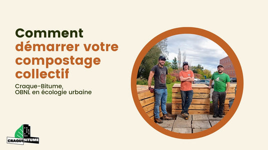 Comment démarrer votre compostage collectif - En présentiel ou en ligne