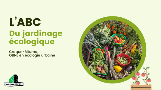 ABC du jardinage écologique - En présentiel ou en ligne