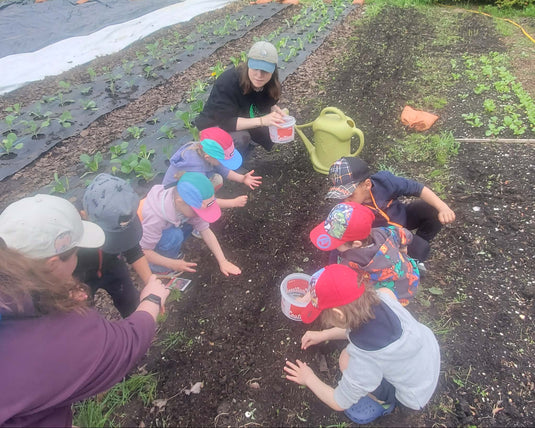 Formations en jardinage urbain, semences et pousses