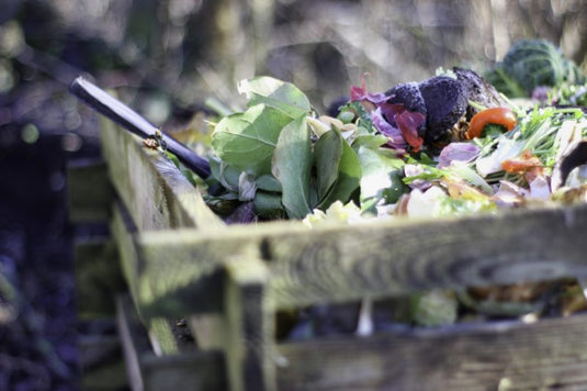 🔎 Quoi mettre au compost ?
