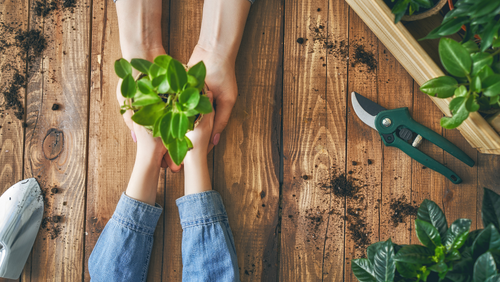 Accompagnement pour le démarrage et la fermeture du jardin