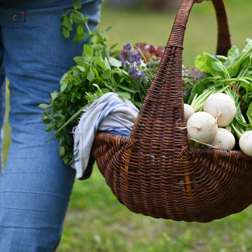 Inscription au jardin collectif Les Ateliers à la Terre – Saison 2025
